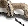 -6ANX1/4'NPT ADP FITTING