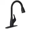 PREMIUM SINGLE HANDLE PULL-DOWN