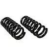 MOOG 81763 COIL SPRING SET