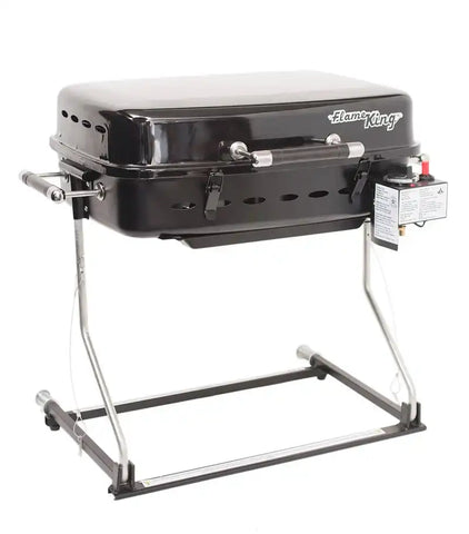 RV OR TRAILER MOUNTED GRILL W/CARRY
