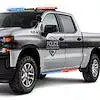 PUTCO 901601660 DODGE RAM 1500
