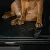 SPORTSMAN LNR SUBWOOF UNLIMIT 18-20