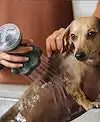 ETL 78166 SHAMPOOCHPRO PET WASHER KIT GRY 1.8
