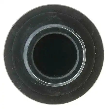 OIL CAP