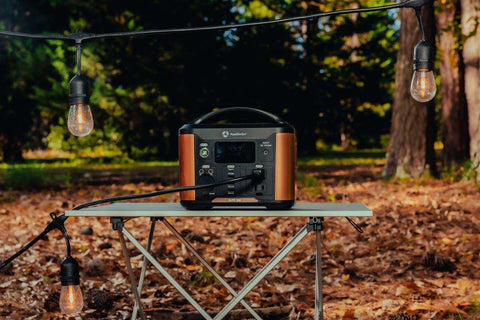 PORTABLE PWR STN 300 W/AC & DC ADAP