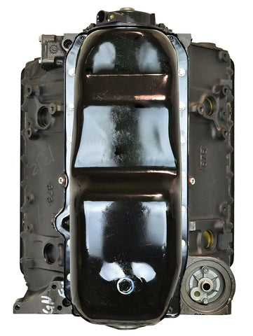 CHEV 305 96-00 MARINE ENG