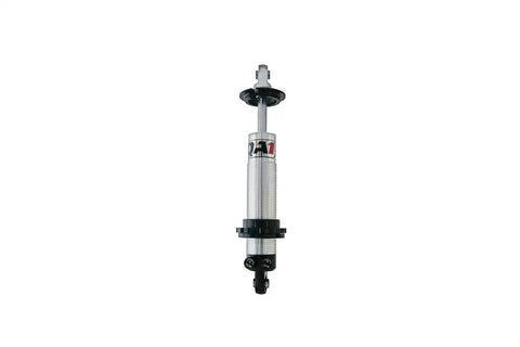 SHOCK PROMA C-O D-ADJ 11.