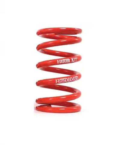 H&R RF300080 RACE SPRING