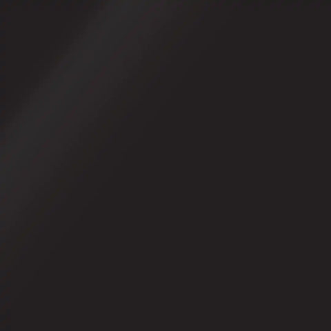 TOP COAT CHASSIS BLACK - AEROSOL