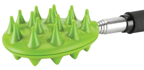 CACTUS BACK SCRATCHER