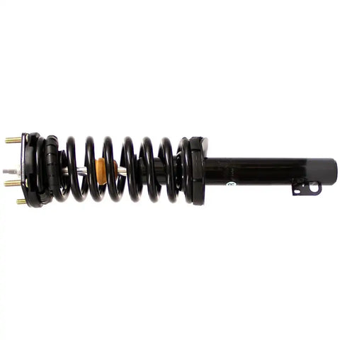 ROADMATIC STRUT ASSEMBLY