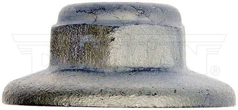 DORMAN 615-170 FORD F150 W/ PLASTIC IN