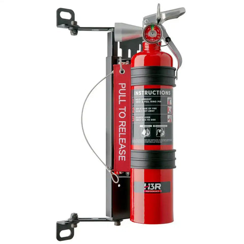 2.5 LB RED CLEAN AGENT FE