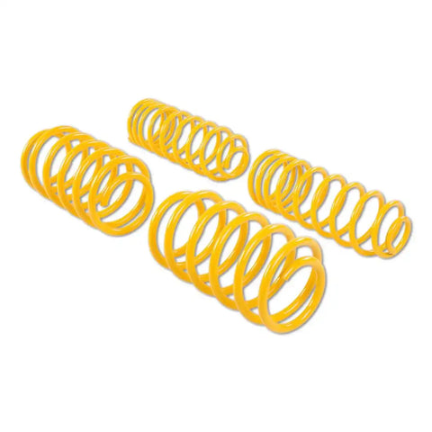 LOWERING SPRINGS