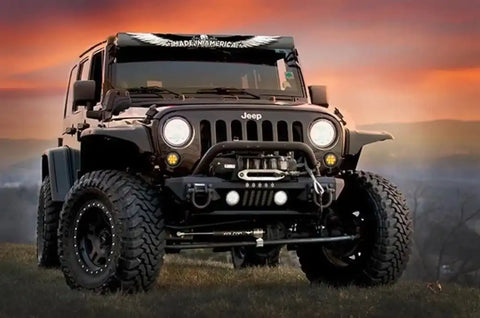 BLACK & WHITE BALD EAGLE-52'INSERT