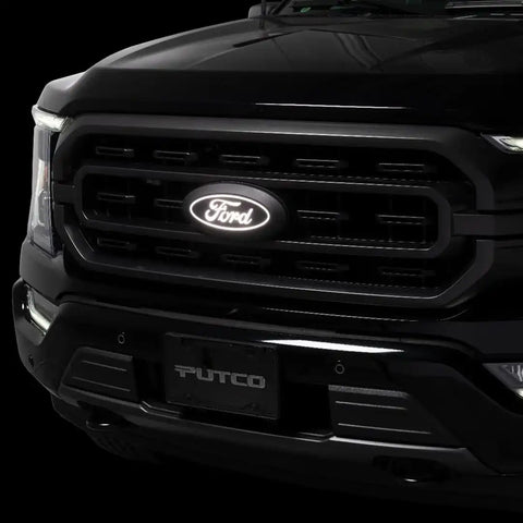 PUTCO 92609 FORD F-150 FRONT EMBLEM - WITH CAME