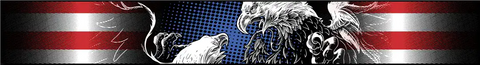 AMERICAN FLAG W/ TWO EAGLES SUNSCRE