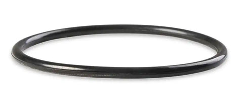 REPL WATR NECK O-RING CHV