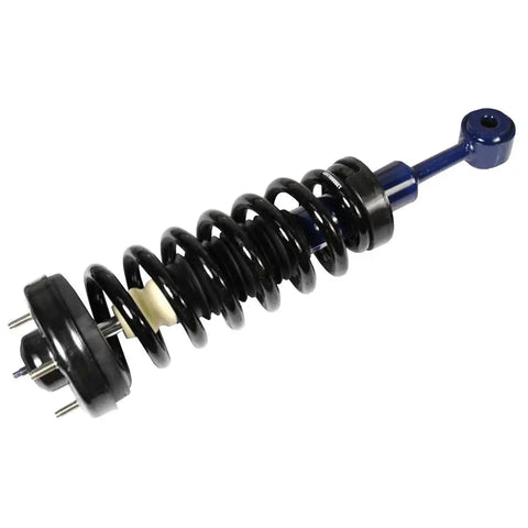 ECONO MATC STRUT ASSEMBLY