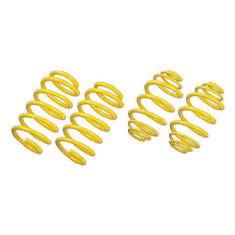 LOWERING SPRINGS