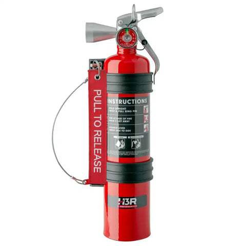 2.5 LB RED CLEAN AGENT FE