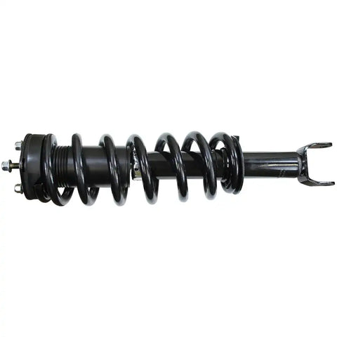 ROADMATIC STRUT ASSEMBLY