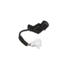 PARK ASSIST CAMERA