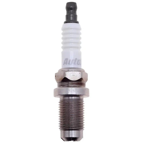 EXPORT RACING PLUGS