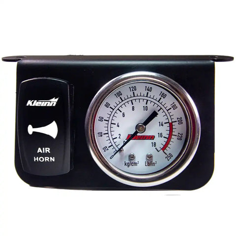DUAL NEEDLE DASH PANEL GAUGE; W/ RO