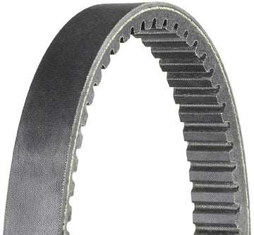 DAYCO HP2013 OUTDOOR ACTIVITY BELT