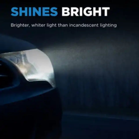FORWARD LIGHTING - HALOGEN