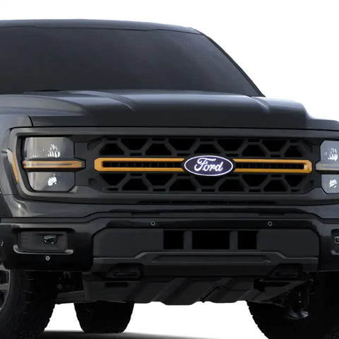 PUTCO 92609 FORD F-150 FRONT EMBLEM - WITH CAME