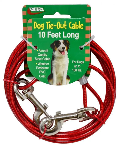 TIE-OUT CABLE 10FT