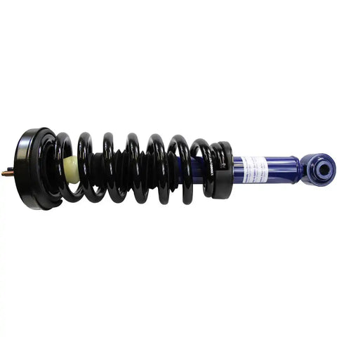 ECONO-MATIC STRUT ASSEMBL