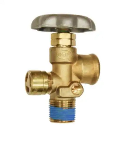 ASME SERVICE VALVE 3/4'NGT INLET