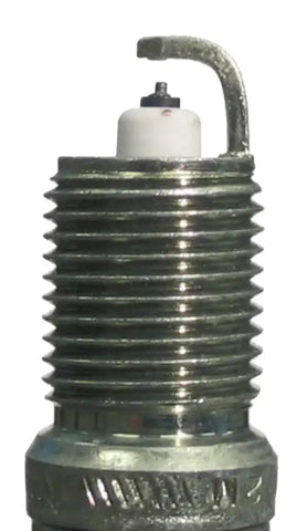 CHAMPION 7983 DOUBLE PLATINUM PLUG 4/BX