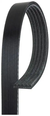 GATES CORP K050435 V-RIBBED BELT