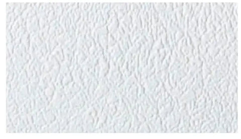 GENESIS PROD 569958 ARCTIC WHITE 100' CEILING KIT