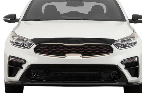 Auto Ventshade (AVS) 320084 Aeroskin Hood Protector - Smoke