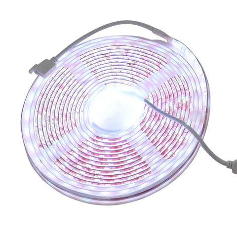 STRIP LIGHT SMART LED 5M