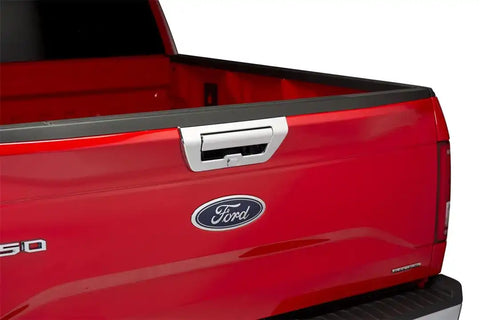 PUTCO 401068 F150 WITH PULL HANDLE