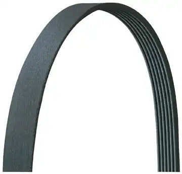 DAYCO 5060431DR V-RIBBED BELT