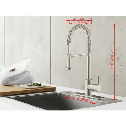COILED SPR FAUCET  SGLE BRSH NCKEL
