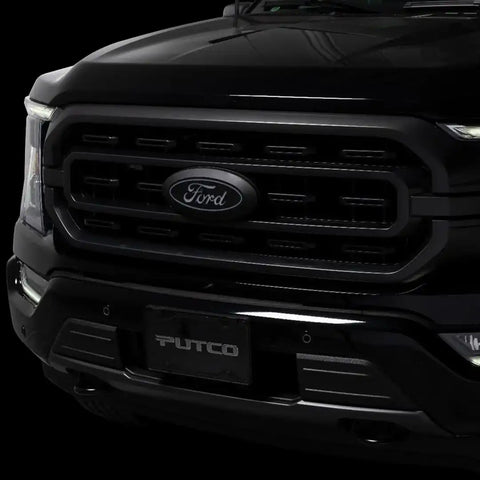 PUTCO 92609 FORD F-150 FRONT EMBLEM - WITH CAME