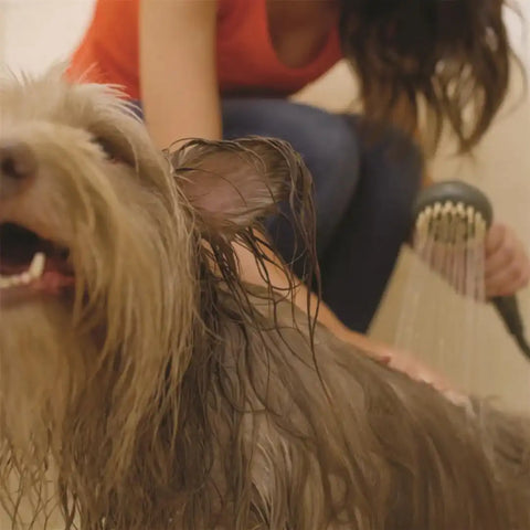 ETL 70862 SUPERWASH PET WASHER KIT GRAY 1.8