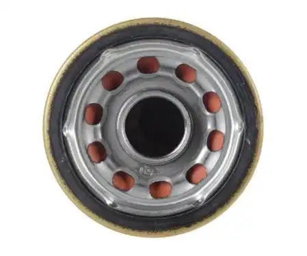 EXTENDED GUARD OIL FILTER 6/CS