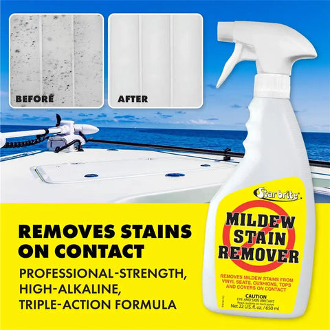 MILDEW STAIN REMOVER 22 OZ.