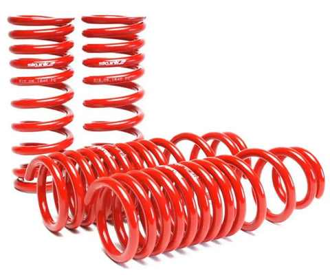 SKUNK 2 519-05-1640 RACE LOW SPR CIVIC/INTGRA