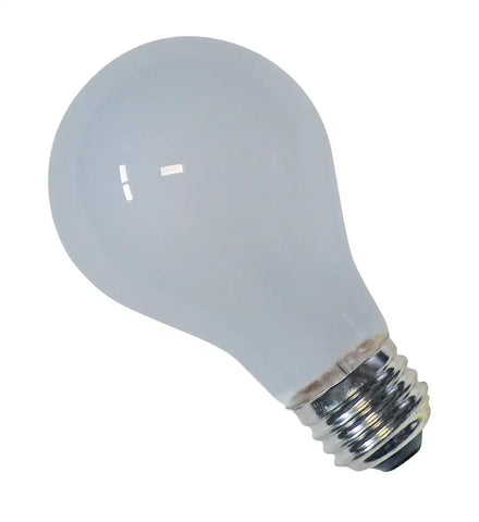 A19 12VOLT STD BULB