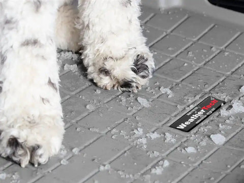 WEATHERTECH 421569SK CARGOLINERWITHBUMPERPROTECTOR